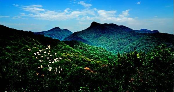 花都區(qū)出臺“白金十條”促進(jìn)旅游產(chǎn)業(yè)發(fā)展，最大一項(xiàng)政策獎(jiǎng)勵(lì)達(dá)2000萬元???