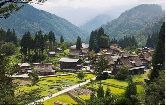 國務(wù)院：推動(dòng)貧困地區(qū)產(chǎn)品和服務(wù)融入全國大市場，助力打贏脫貧攻堅(jiān)戰(zhàn)、推進(jìn)實(shí)施鄉(xiāng)村振興戰(zhàn)略?